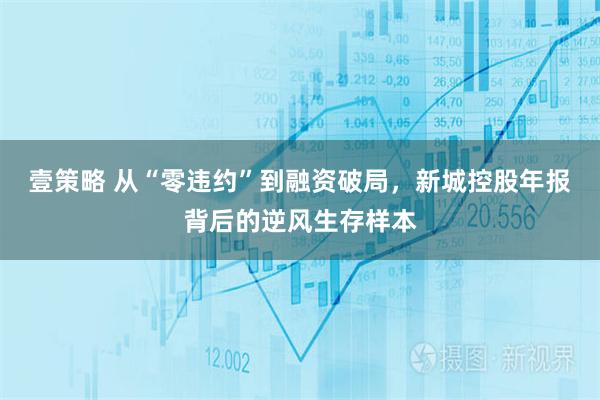 壹策略 从“零违约”到融资破局，新城控股年报背后的逆风生存样本