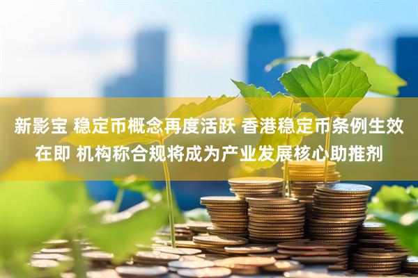 新影宝 稳定币概念再度活跃 香港稳定币条例生效在即 机构称合规将成为产业发展核心助推剂