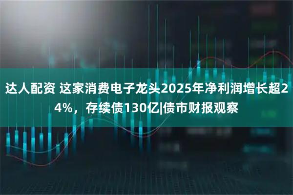 达人配资 这家消费电子龙头2025年净利润增长超24%,存续债130亿|债市财报观察
